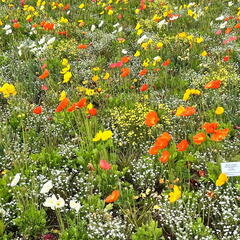 23-05-16 10-52-45 5385